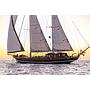 Book yachts online - other - Gulet - Carpe Diem 7 - rent