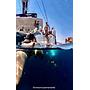 Book yachts online - catamaran - Lagoon 52F - Mercurey - rent