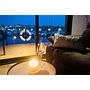 Book yachts online - False - Campi 400 - bella donna II - rent