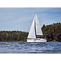 Sunsail Sun Odyssey 319 (2019)
